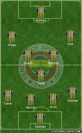 Fenerbahçe SK Formation 2015