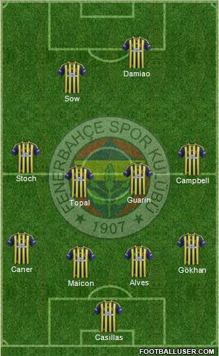 Fenerbahçe SK Formation 2015