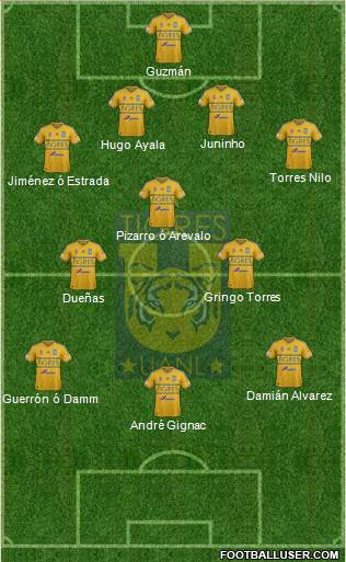 Club Universitario de Nuevo León Formation 2015