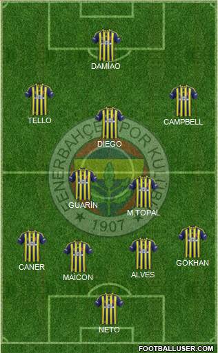 Fenerbahçe SK Formation 2015