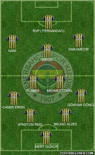 Fenerbahçe SK Formation 2015