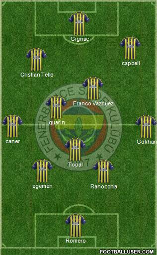 Fenerbahçe SK Formation 2015