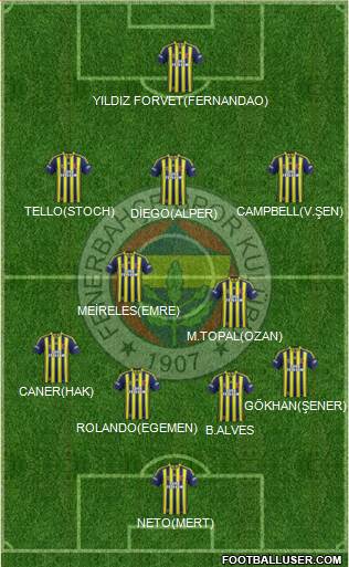 Fenerbahçe SK Formation 2015