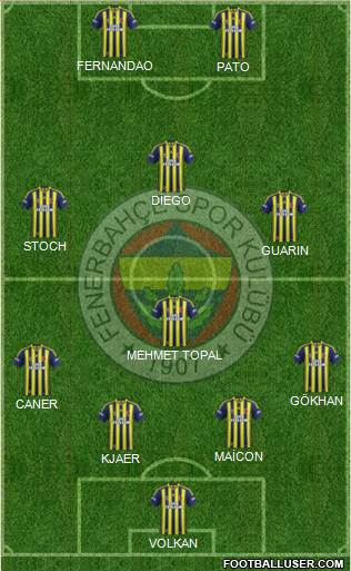 Fenerbahçe SK Formation 2015
