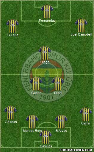 Fenerbahçe SK Formation 2015