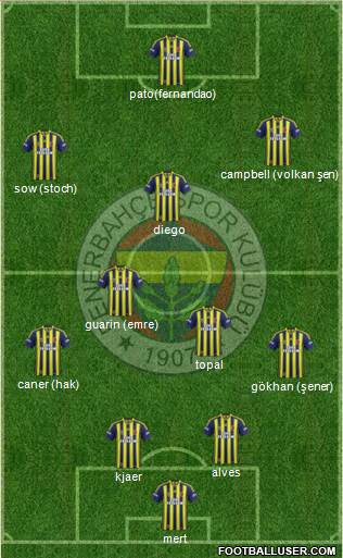 Fenerbahçe SK Formation 2015