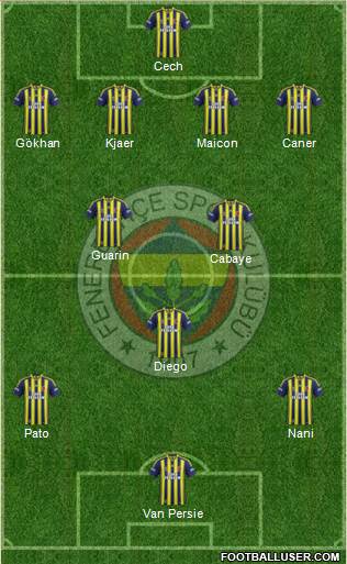 Fenerbahçe SK Formation 2015