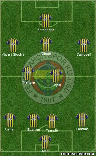 Fenerbahçe SK Formation 2015