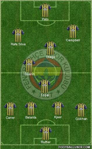 Fenerbahçe SK Formation 2015