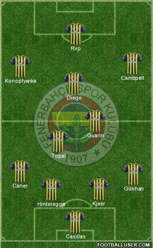 Fenerbahçe SK Formation 2015