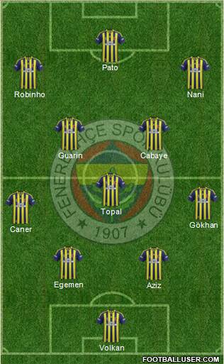 Fenerbahçe SK Formation 2015