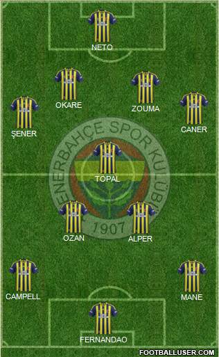 Fenerbahçe SK Formation 2015