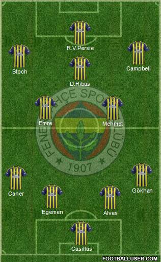 Fenerbahçe SK Formation 2015