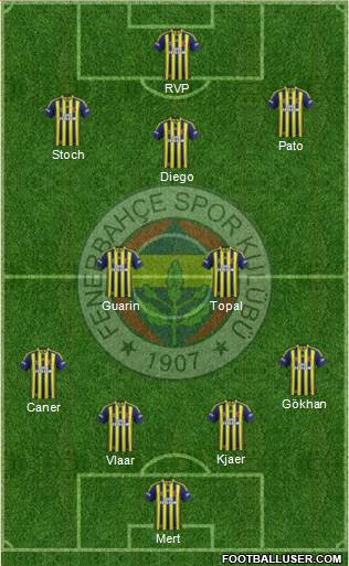 Fenerbahçe SK Formation 2015