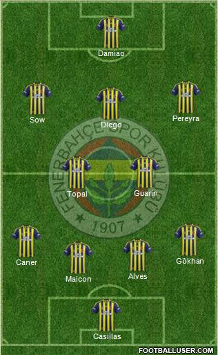Fenerbahçe SK Formation 2015