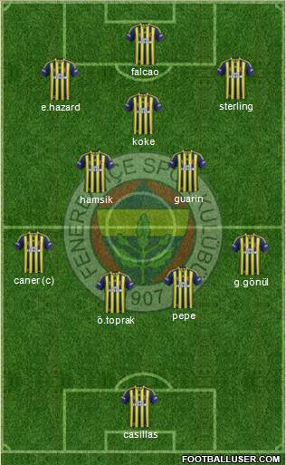Fenerbahçe SK Formation 2015