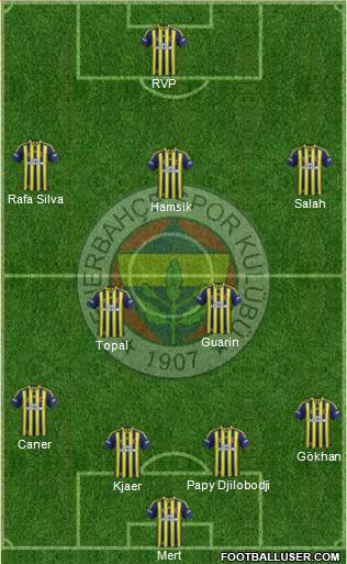Fenerbahçe SK Formation 2015