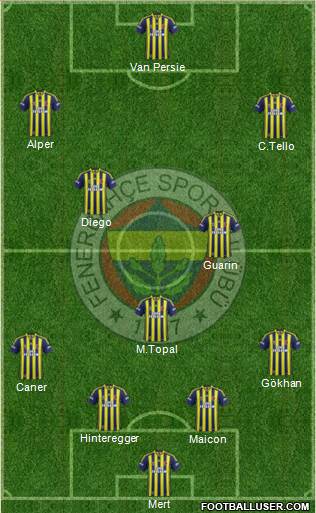 Fenerbahçe SK Formation 2015