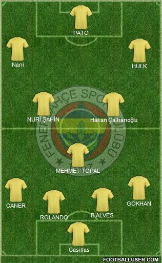 Fenerbahçe SK Formation 2015