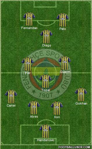 Fenerbahçe SK Formation 2015