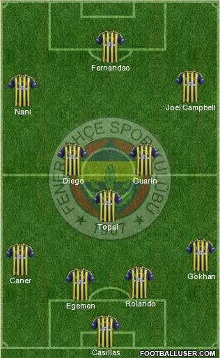 Fenerbahçe SK Formation 2015