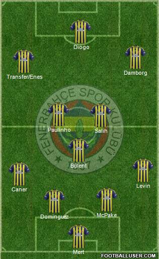 Fenerbahçe SK Formation 2015