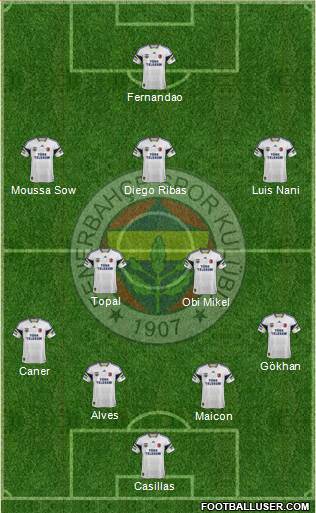Fenerbahçe SK Formation 2015