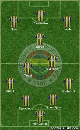 Fenerbahçe SK Formation 2015