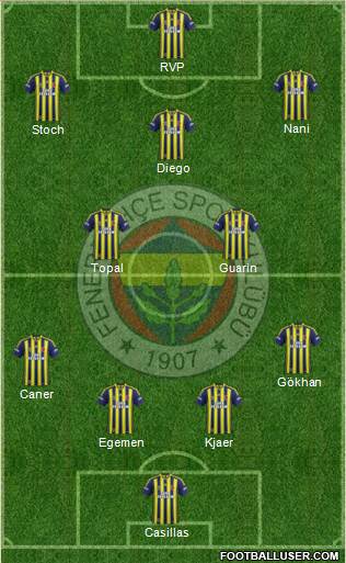 Fenerbahçe SK Formation 2015