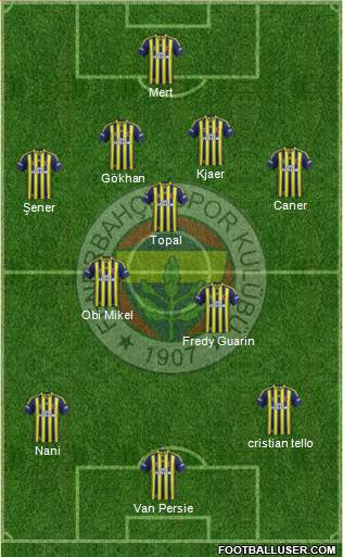 Fenerbahçe SK Formation 2015