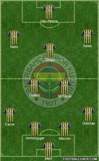 Fenerbahçe SK Formation 2015