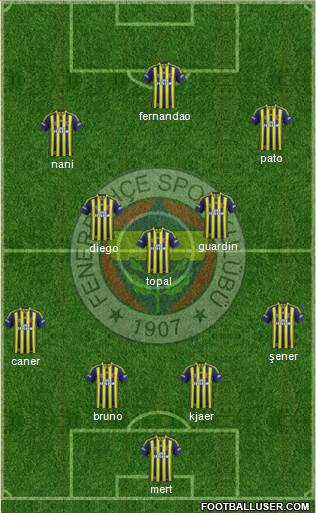 Fenerbahçe SK Formation 2015
