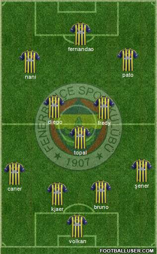 Fenerbahçe SK Formation 2015