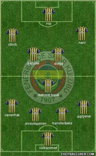 Fenerbahçe SK Formation 2015