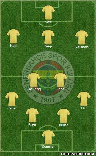 Fenerbahçe SK Formation 2015
