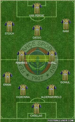 Fenerbahçe SK Formation 2015