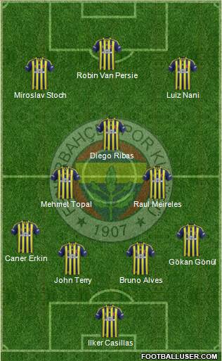 Fenerbahçe SK Formation 2015