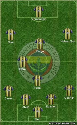 Fenerbahçe SK Formation 2015