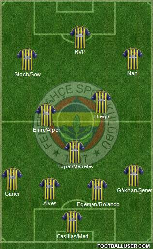 Fenerbahçe SK Formation 2015
