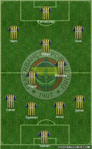 Fenerbahçe SK Formation 2015