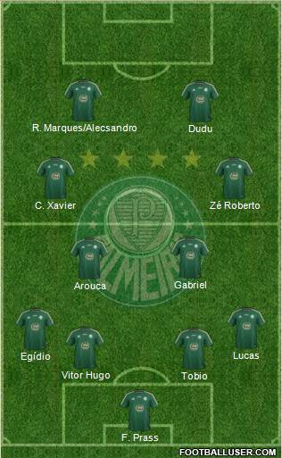 SE Palmeiras Formation 2015