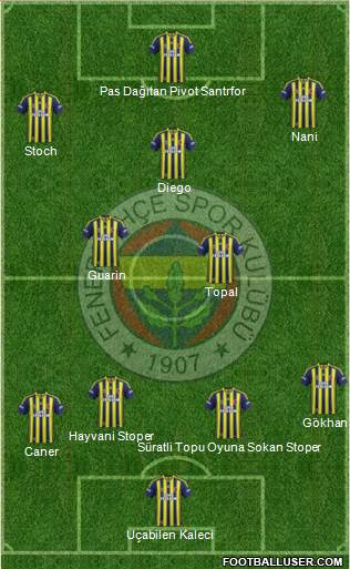Fenerbahçe SK Formation 2015