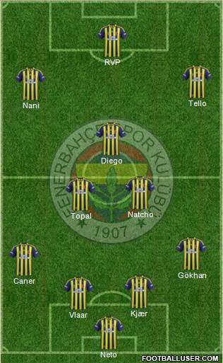 Fenerbahçe SK Formation 2015