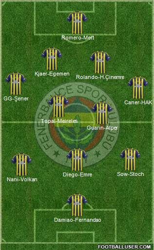 Fenerbahçe SK Formation 2015