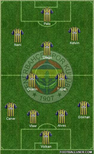 Fenerbahçe SK Formation 2015