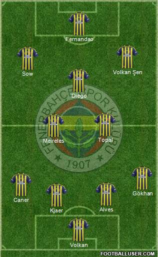 Fenerbahçe SK Formation 2015