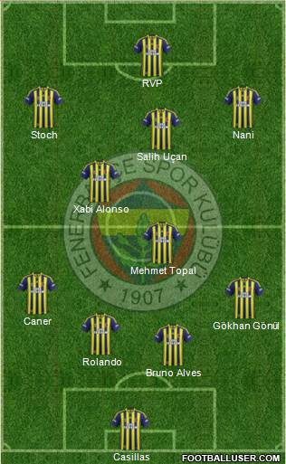 Fenerbahçe SK Formation 2015