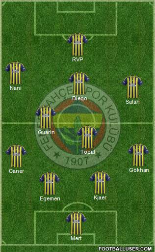 Fenerbahçe SK Formation 2015