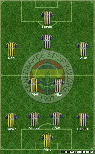 Fenerbahçe SK Formation 2015