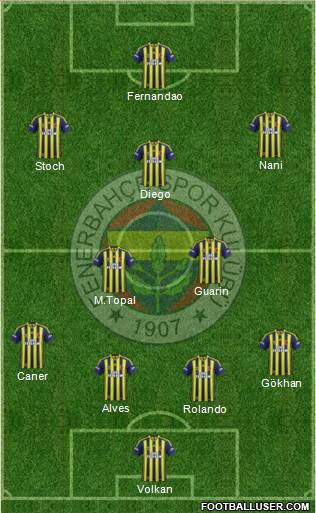 Fenerbahçe SK Formation 2015